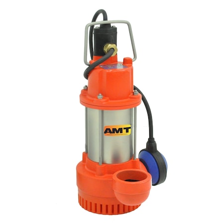 Amt Pump 2-in. BST Cast Iron Submersible w/ 1/2 HP 1PH 220V 50Hz Motor 598B-95B